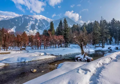 Srinagar, Sonmarg, Gulmarg, Pahalgam, Tour