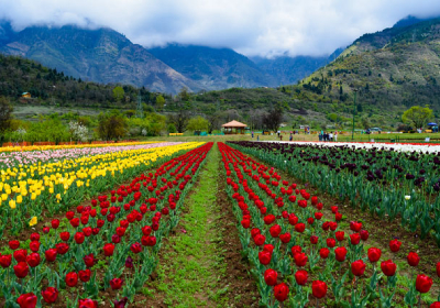 Kashmir Tour Packages
