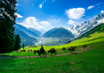 Amritsar with Srinagar Gulmarg  Pahalgam Tour